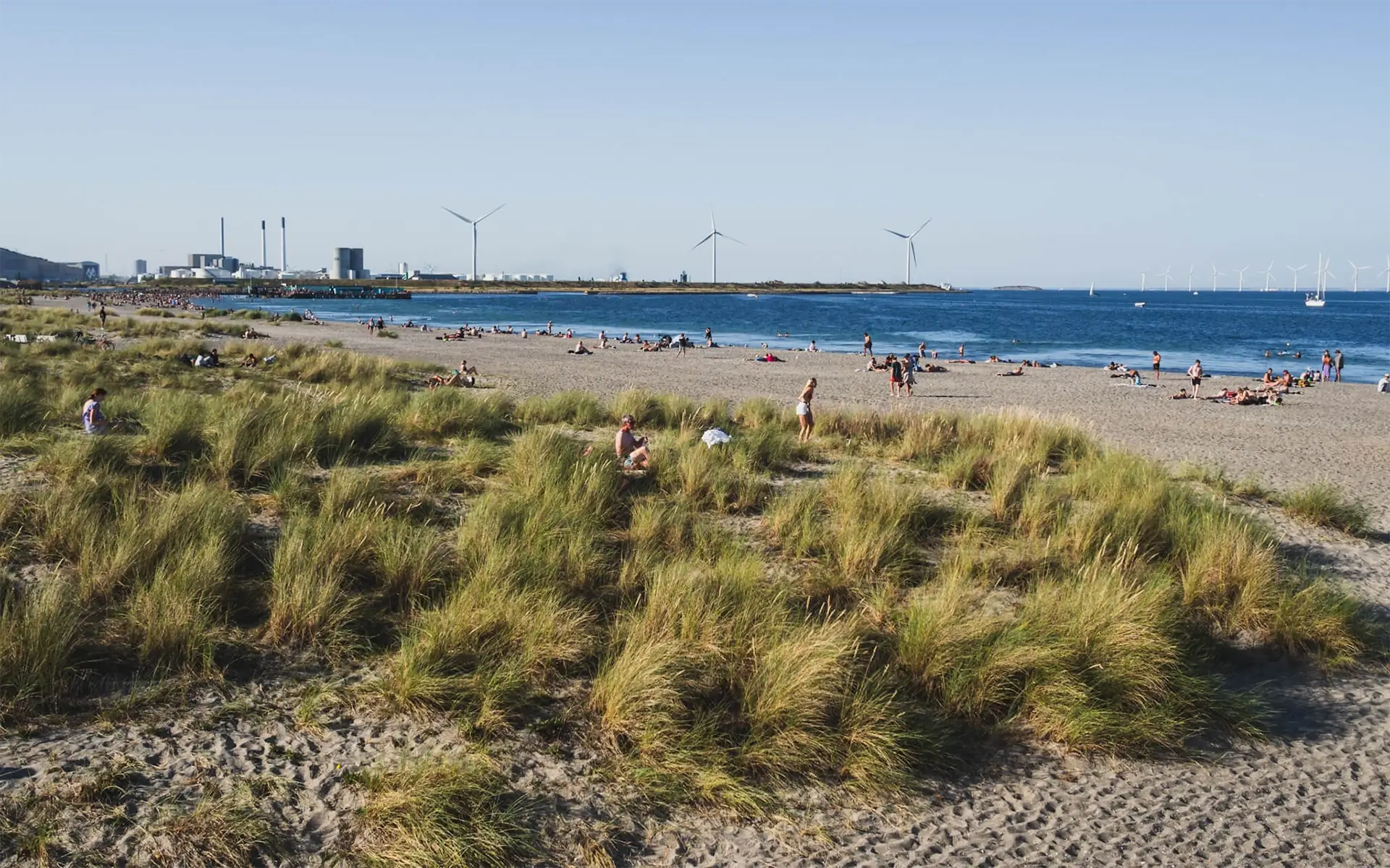 Amager strandpark