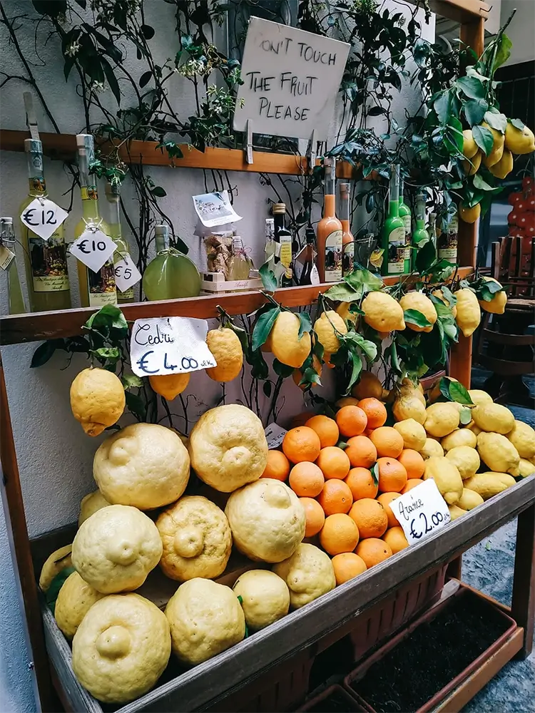 Amalfi lemons